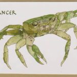 New Moon in Cancer Chakra Talk Video