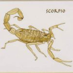 New Moon in Scorpio chakra talk